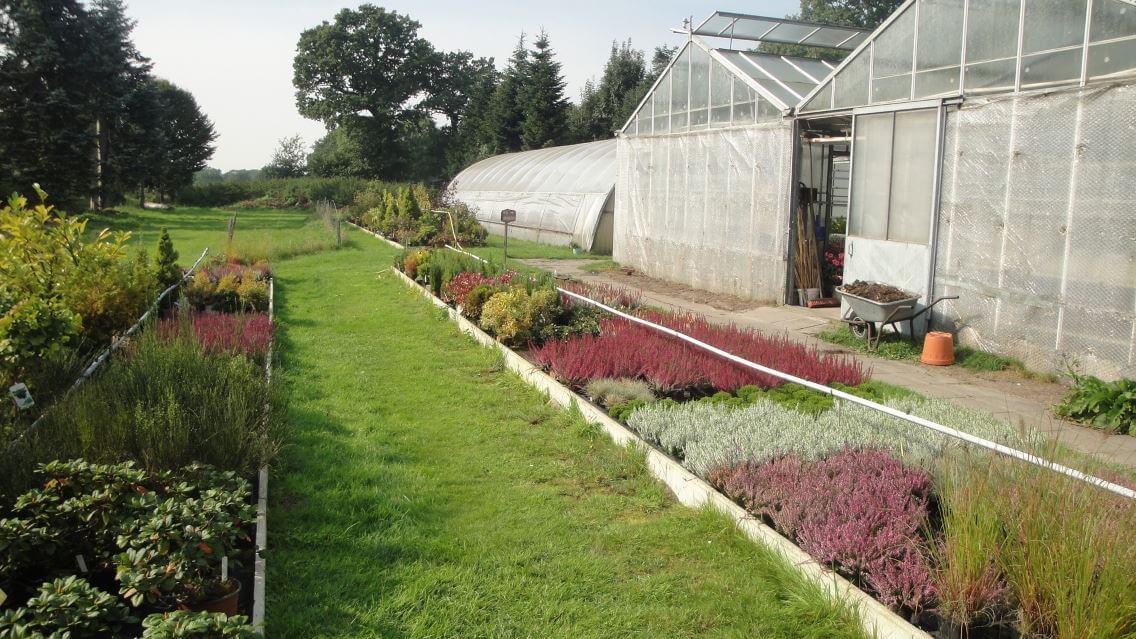 60+ Gärtner Friesland, Qualitativ hochwertige arbeit mit viel spaß